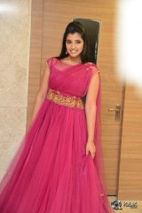 Anchor Syamala at Speedunnodu Movie Platinum Disc Function